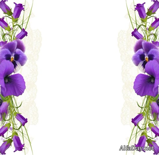 ��������� �����, ��������, �����, ������ - ������� PNG