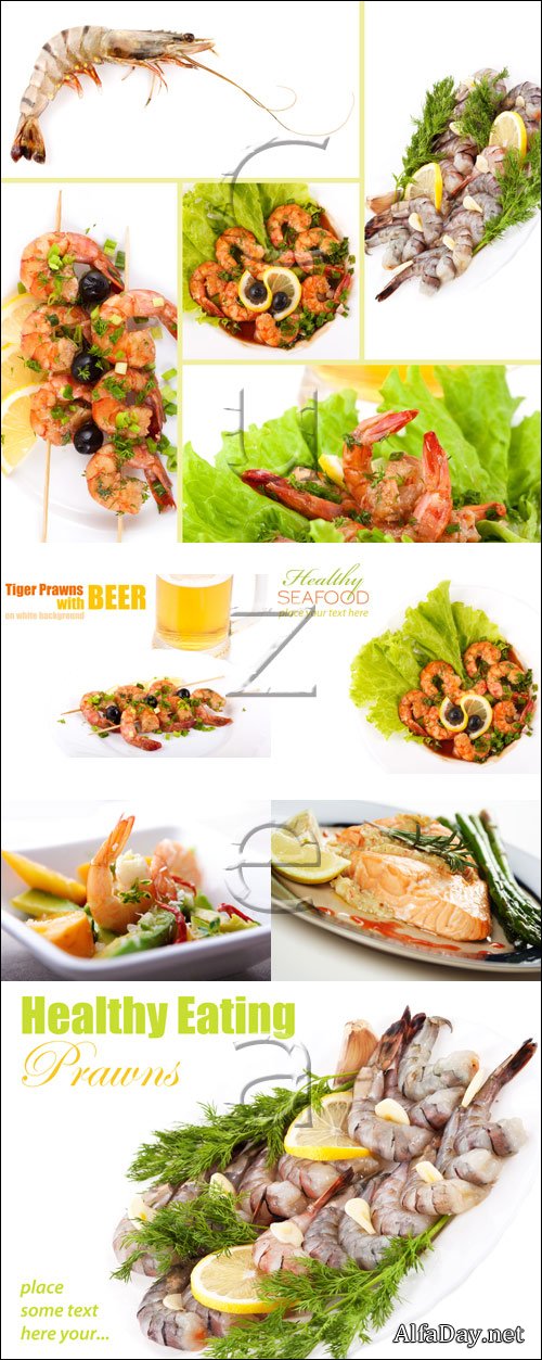������������ / Seafoods products - stock photo