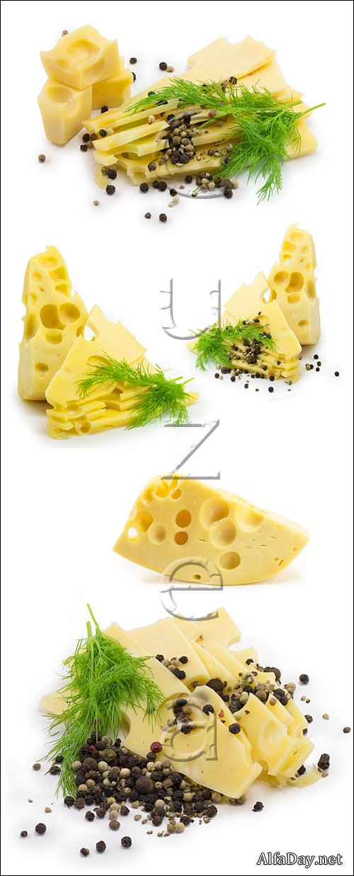 ��� �� ����� ����, 3 / Cheese, part 3 - stock photo