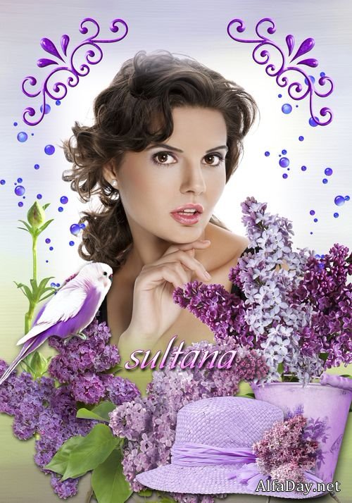 ����� ��� �������� - ������� �������� ������