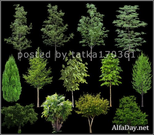 ������� ��� �������� - ������ ������� � ���������