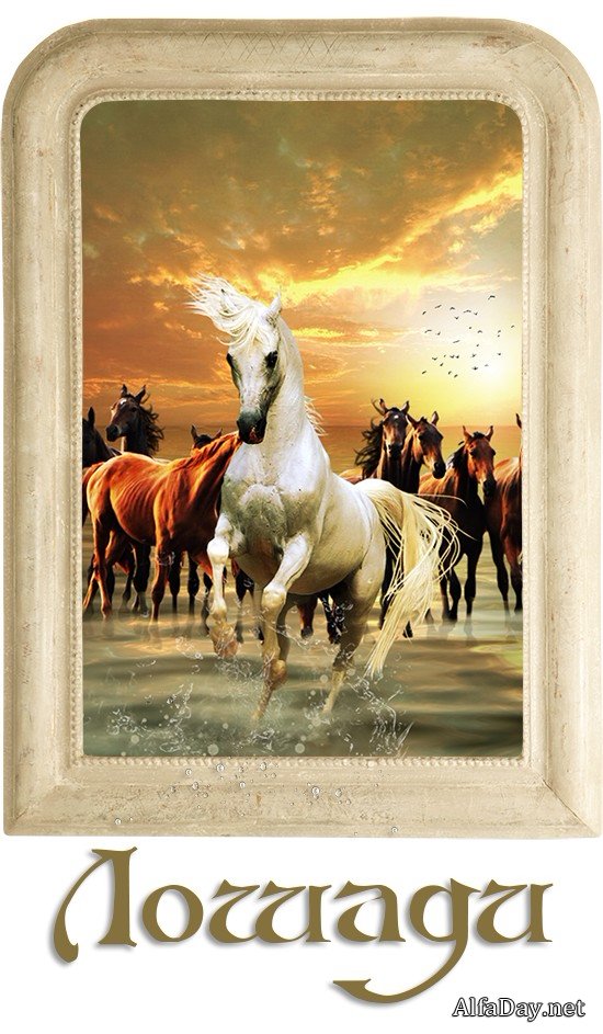 ������, ����, ���������, ���� - ������� PNG �� ���������� ����