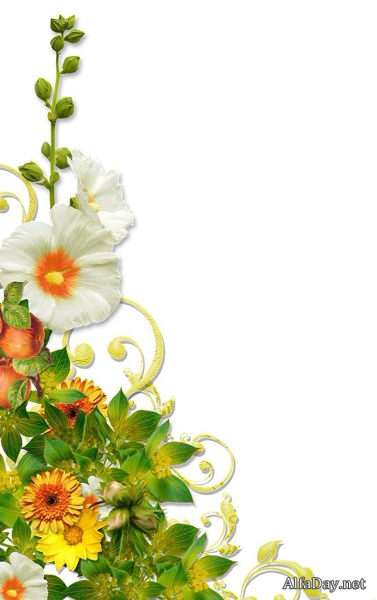 ��������� ��������, ����������, ������� � ������� - ������� PNG �� ���������� ����