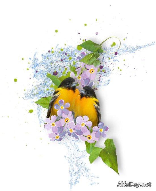 ��������� ��������, ����������, ������� � ������� - ������� PNG �� ���������� ����