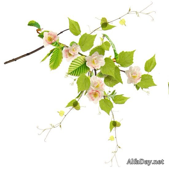 ��������� ��������, ����������, ������� � ������� - ������� PNG �� ���������� ����