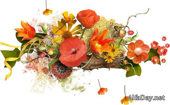 ��������� ��������, ����������, ������� � ������� - ������� PNG �� ���������� ����