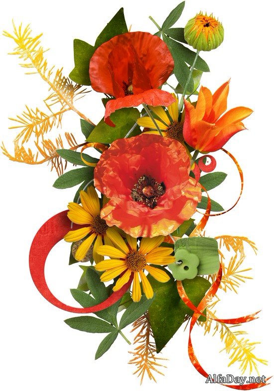 ��������� ��������, ����������, ������� � ������� - ������� PNG �� ���������� ����