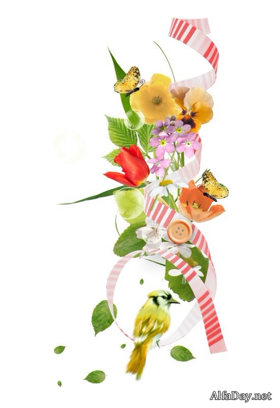 ��������� ��������, ����������, ������� � ������� - ������� PNG �� ���������� ����