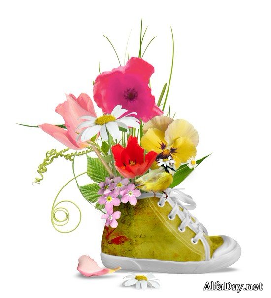 ��������� ��������, ����������, ������� � ������� - ������� PNG �� ���������� ����