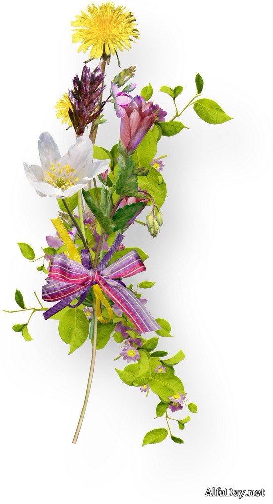 ��������� ��������, ����������, ������� � ������� - ������� PNG �� ���������� ����