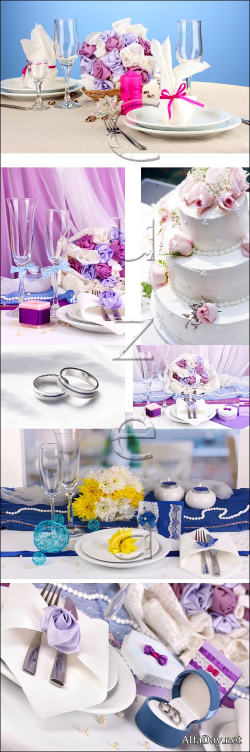 ��������� ������������� / Wedding selebratoin - stock photo