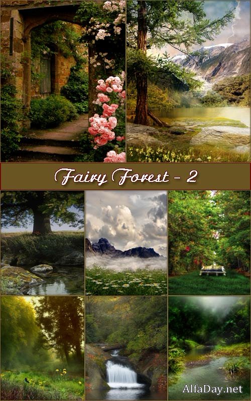 ���� ��� �������� - ��������� ���