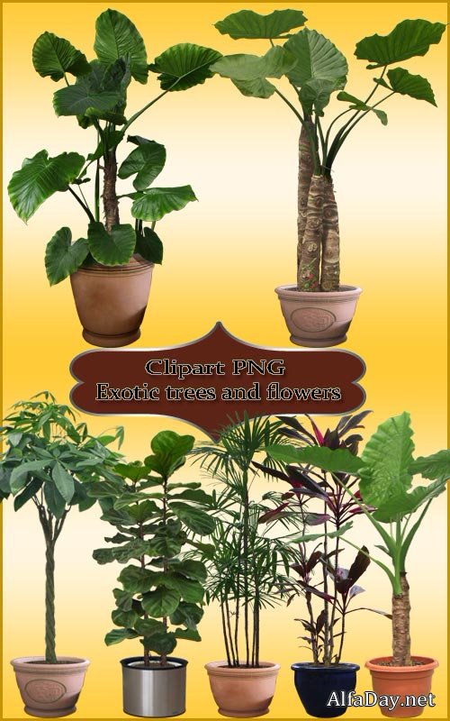 ������� �� ���������� ���� - ����������� ������, ������������ ��������