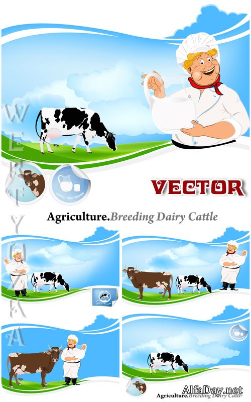 ������������, �������� ������������ / Breeding dairy cattle - vector clipart