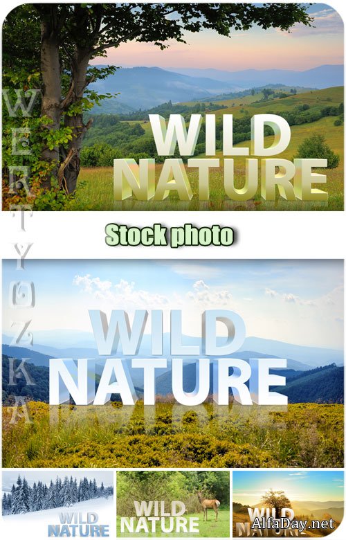 ����� �������, ������� / Wild nature, landscapes - Raster clipart