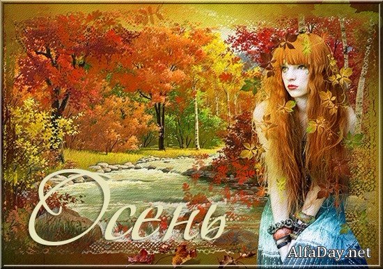 ������� �����, ������ � �������� - ������� ��� ������������