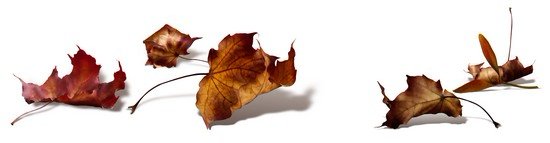 ������� �����, ������ � �������� - ������� ��� ������������