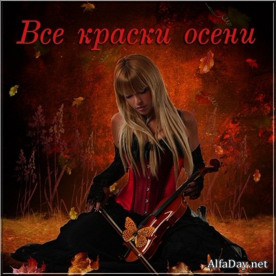 �������� � ���� "�����" ��� ������� ��������