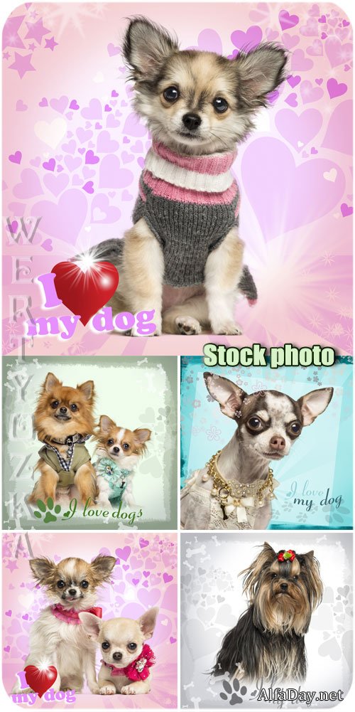 ������� �������� ��������, ������ / Beloved pets, dogs - Raster clipart