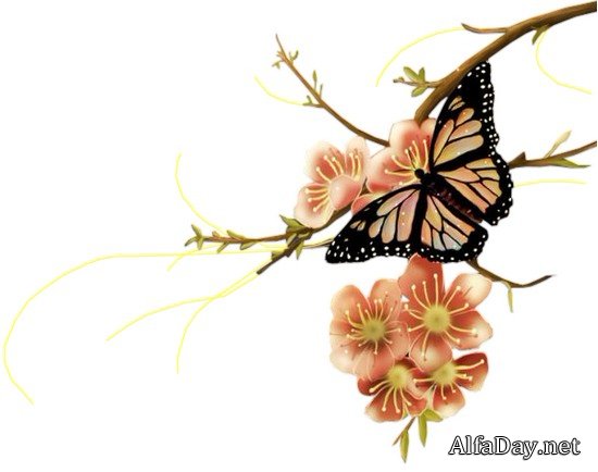 ������� - ������� ��� ��������