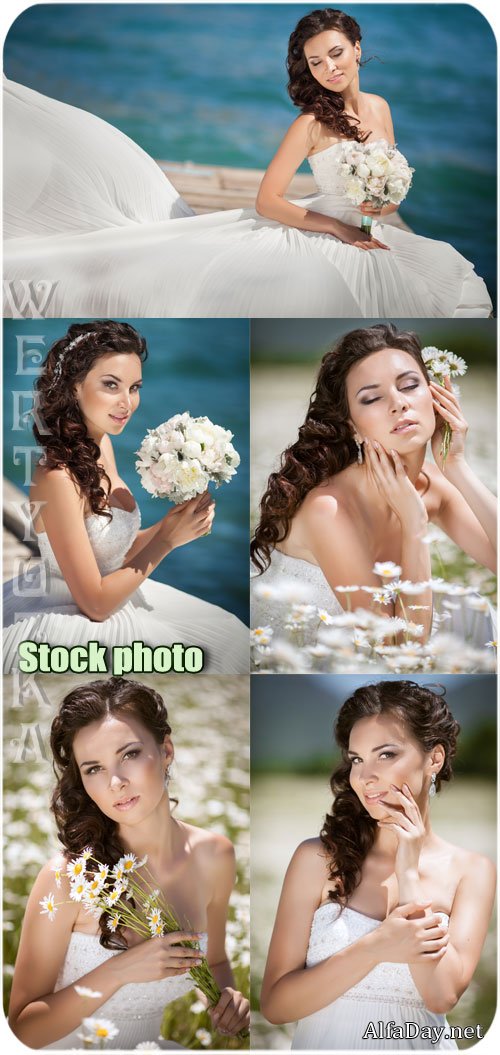 ������� � ������� - ��������� �������