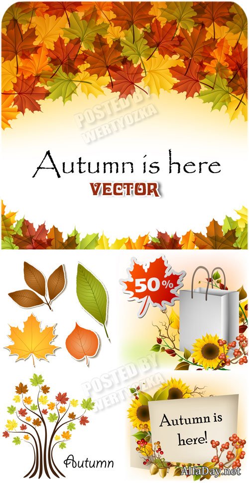 ������� ����, ������, �����, ������� / Autumn backgrounds - vector