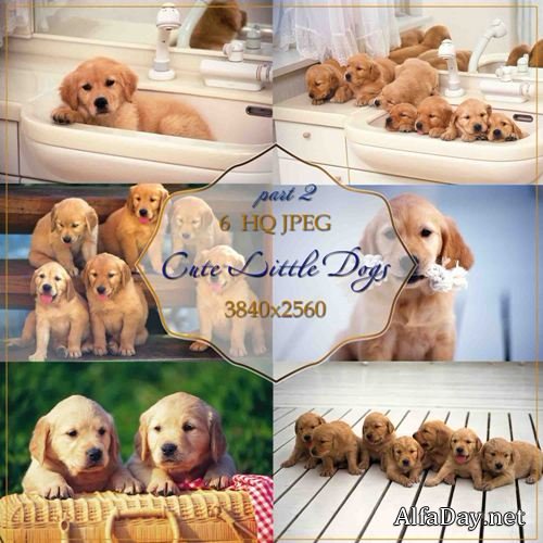 ��������� ������� - �������� ��������� ����� (����� 2)