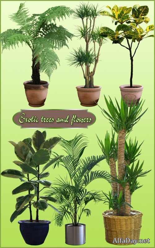 ������������ �������� � ������� - ������� �� ���������� ����