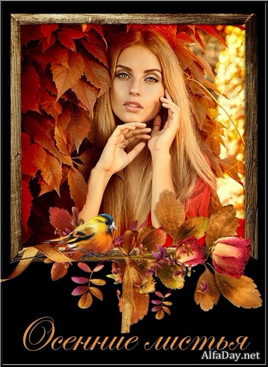 ������� ������ - ����� ��������� ��� ����������� �����