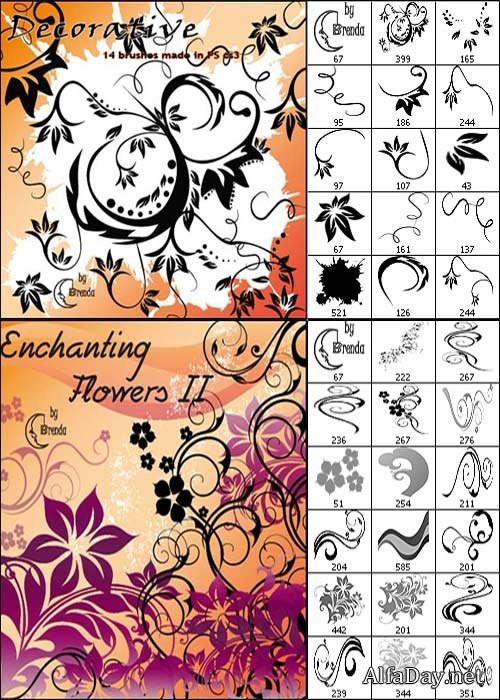 ����� ��� �������� - ������������ �����, ��������� �������