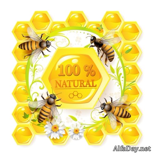 ��������� ������� - ���, �����, ����