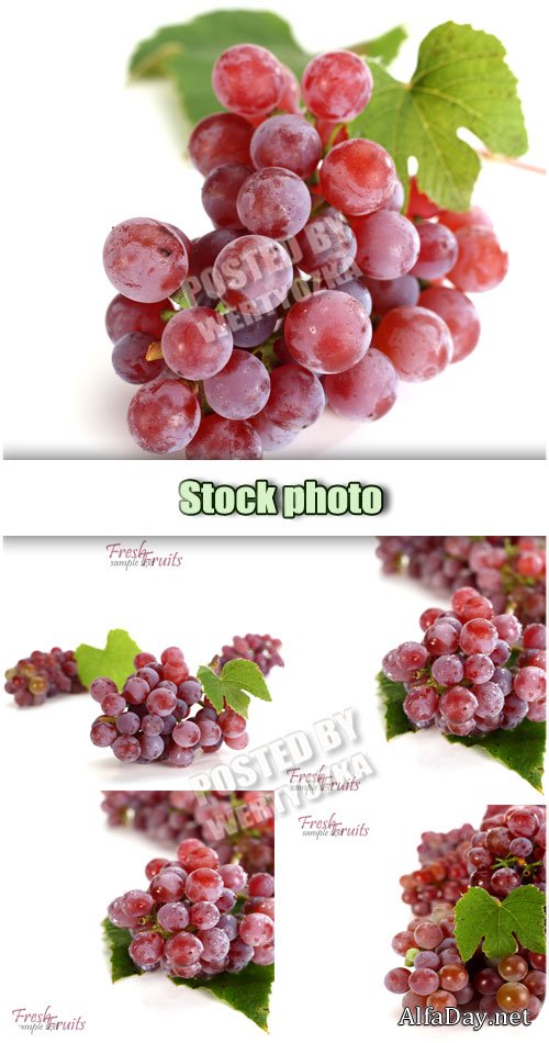 �������� �� ����� ���� / Grapes on a white background - stock photo