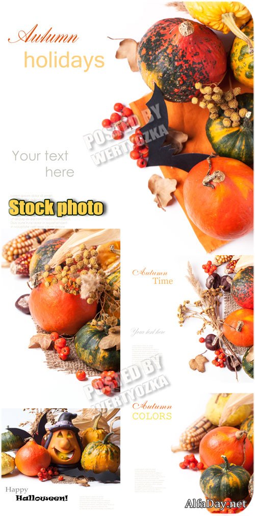 �������� ����� / Celebration of Autumn - stock photos
