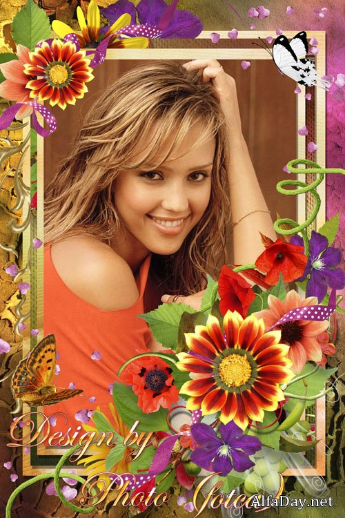 ����� ��� ���� - ��������� �������