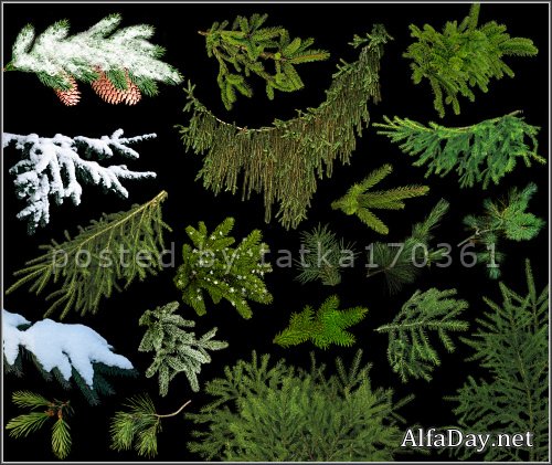 ������� ��� �������� - ������� ������ ��� �������� ������ �����