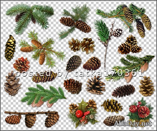 ������� ��� �������� - ����� ������ � ��������