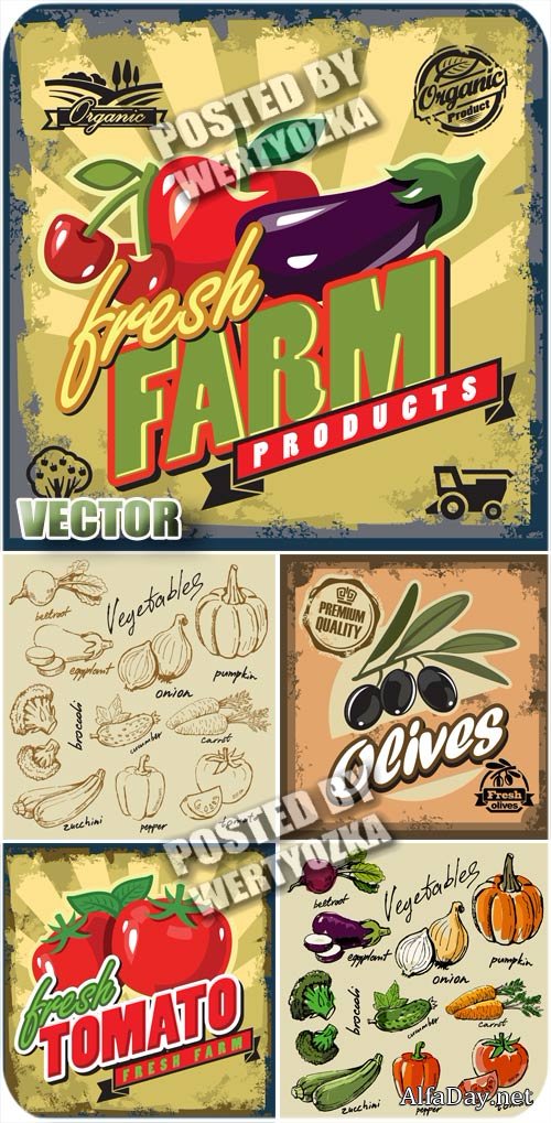 �������� � �������, ������ / Label with vegetables, vintage - stock vector