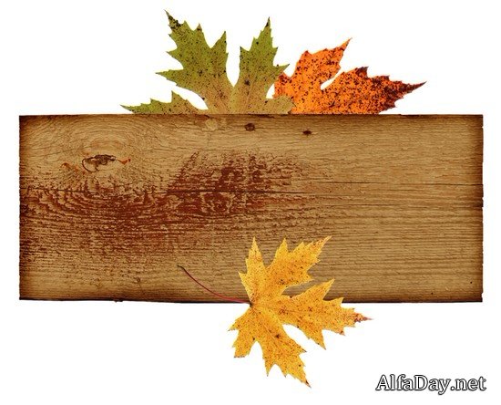 ��������� � ������� - ������� � ������� PNG �� ���������� ����