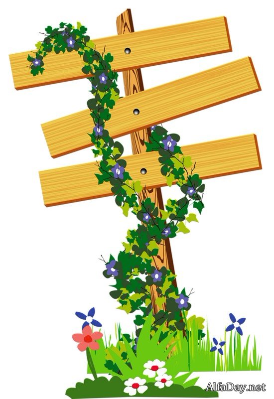 ��������� � ������� - ������� � ������� PNG �� ���������� ����