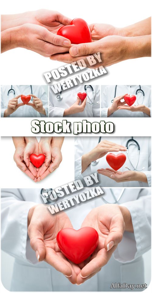 ������ � ����� / Heart in hands - stock photo