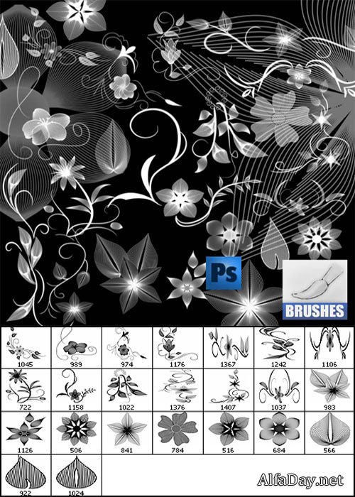 ����� ��� ������� - ����� ��� ��������