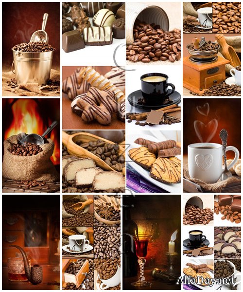 Coffee Beans - stock photo