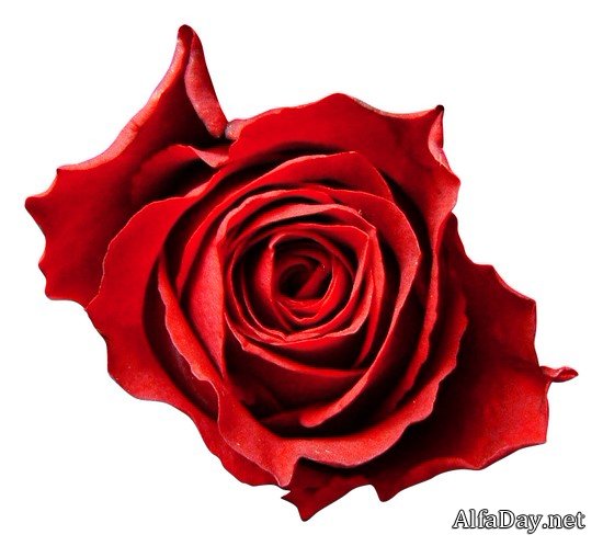 ��� ������, ��� �����... - ���� � ���������� �� ��� �� ���������� ����