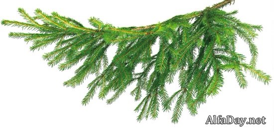 �������� ������ ����, ������� ������� - ������ �������