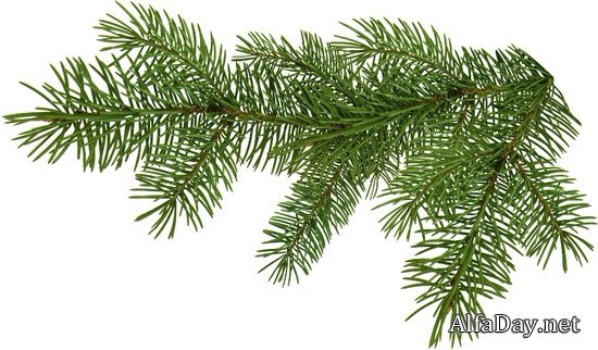 �������� ������ ����, ������� ������� - ������ �������