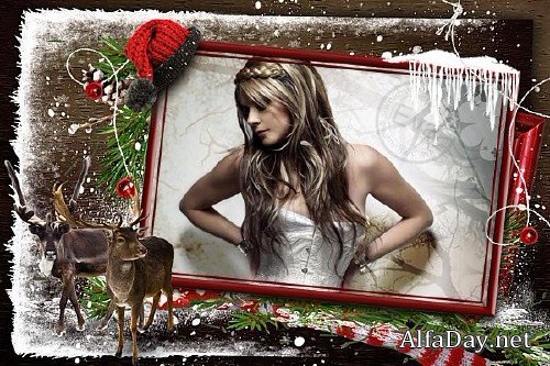  ������� ��� ���������� - �������� ������ ���