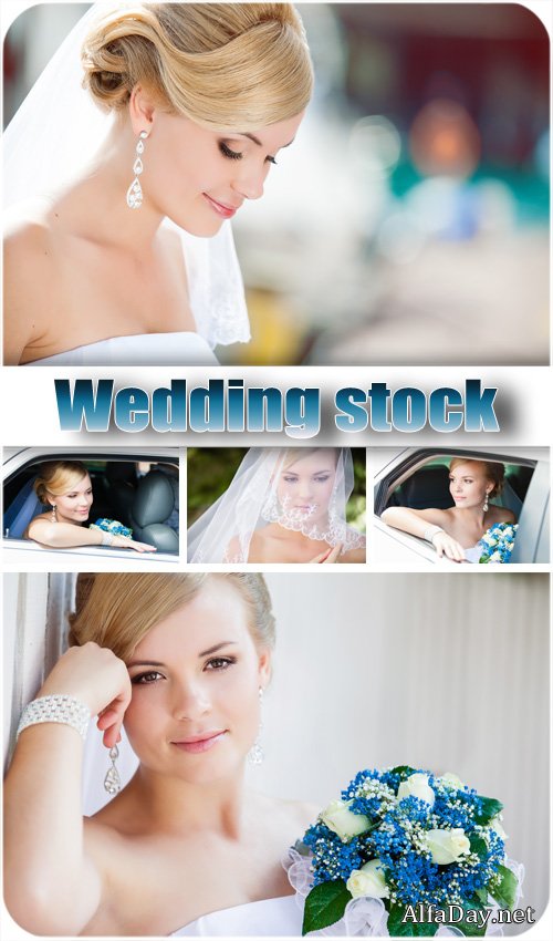 ������� � �������� ������� - ���� ����