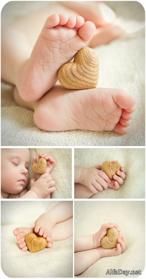 ������� ����� � ��������, ������ � ����� - ���� ����