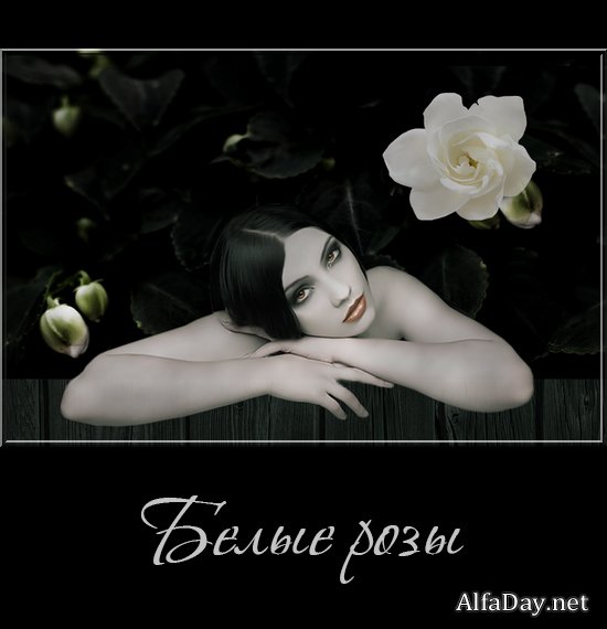 ����� ����, ������ � ������ - ������� �� ���������� ����