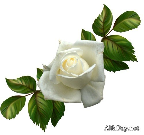 ����� ����, ������ � ������ - ������� �� ���������� ����